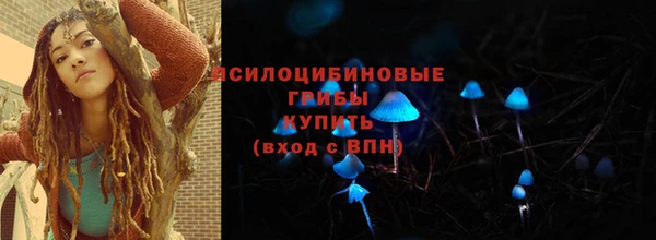винт Алзамай