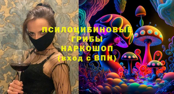 винт Алзамай
